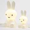 Miffy12