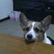 ＨｅｙＧｕｙｓ