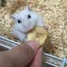 Ｏmochi♡