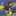 ハルルン1215 ハルルン1215