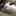 らいぴゅう らいぴゅう