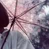 きっちん☆えむ☆