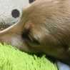 クック8YV6YN☆