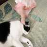 ICHIMOM☆