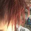 torukix