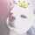 ☆さっくんsion☆ ☆さっくんsion☆