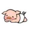 子豚ちゃん☆