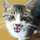 ねこねこ1982
