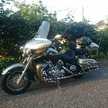 royalstar