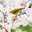 めじろ桜