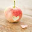 ❀cherry