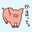 うっかりぴぎべえ