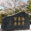 ひなた39