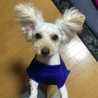 適当かずちゃん