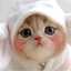 なっちゃん散歩