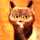 ねこQ ねこQ
