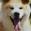 SACHI☆YA