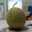 クックU90ARE☆