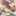 ニコぷぅ ニコぷぅ