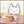 ズボラなねこにん