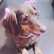 °♡coco♡°
