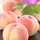 花まめ
