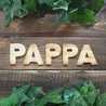 Pappa★