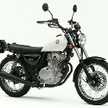 ぐら250