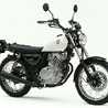 ぐら250