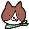 Charo'curry