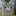 クック375☆ クック375☆