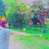 ほんちゃん◡̈