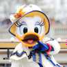 エリートニート