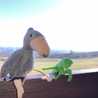 クックはっしー☆ クックはっしー☆
