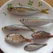めりめり５児のﾏﾏ