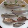めりめり5児のママ めりめり5児のママ