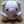いくぼーちゃん
