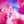 ☆ひで☆みん☆Dr☆