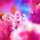 ☆ひで☆みん☆Dr☆ ☆ひで☆みん☆Dr☆