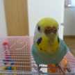 ひこーきちゃん