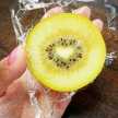 usamama♪♪