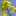 ノンノリノ ノンノリノ
