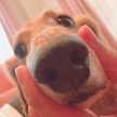 maimai❤︎❤︎