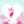 ごんぞら