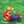 マリオ先輩