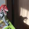 にゅいにゃお