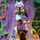 althea_
