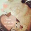 hana＊you