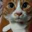 miepooh☆
