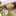 クック13OLIB☆